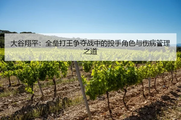 大谷翔平：全垒打王争夺战中的投手角色与伤病管理之道