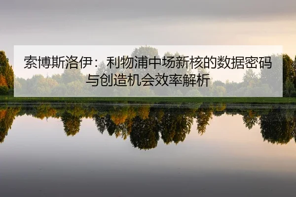 suo-bo-si-luo-yi-li-wu-pu-zhong-chang-xin-he-de-shu-ju-mi-ma-yu-chuang-zao-ji-hui-xiao-lv-jie-xi-2-554.jpg