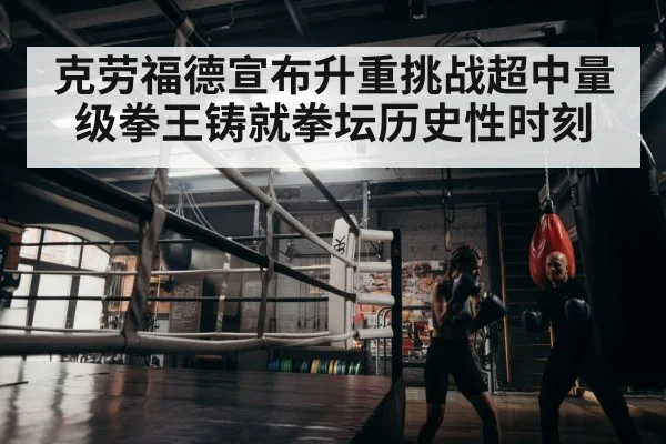 boxer training